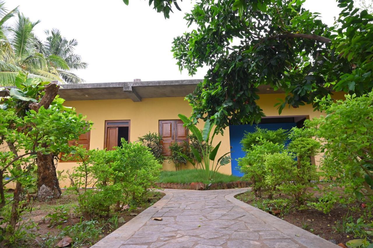 Les Boganveillea Heritage Guest House Auroville Zewnętrze zdjęcie