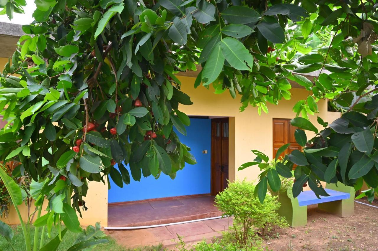 Les Boganveillea Heritage Guest House Auroville Zewnętrze zdjęcie